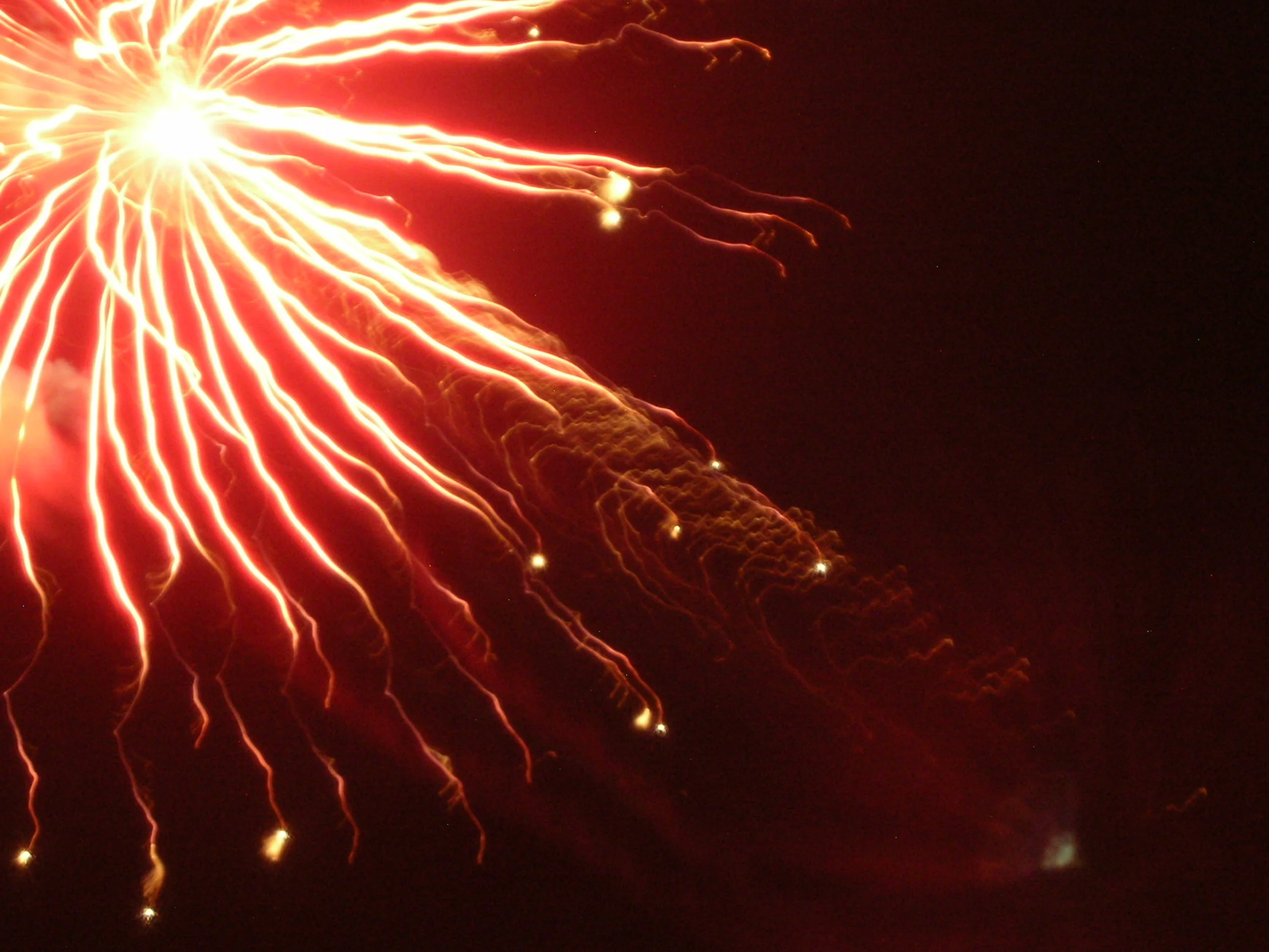 DSCN5180.JPG