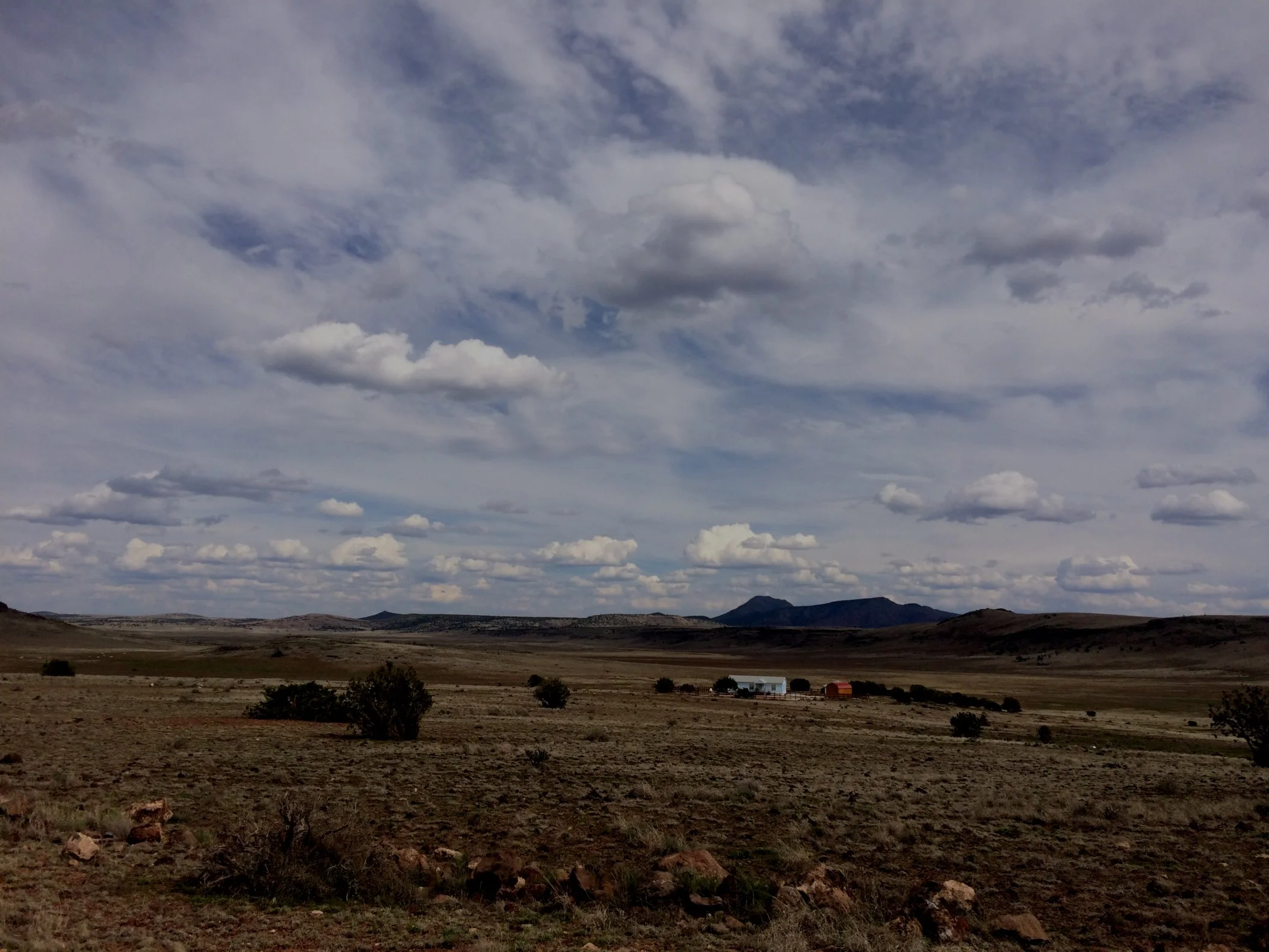 Seligman crop_001.JPG