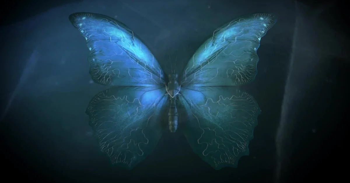 Butterfly-Effect.jpg