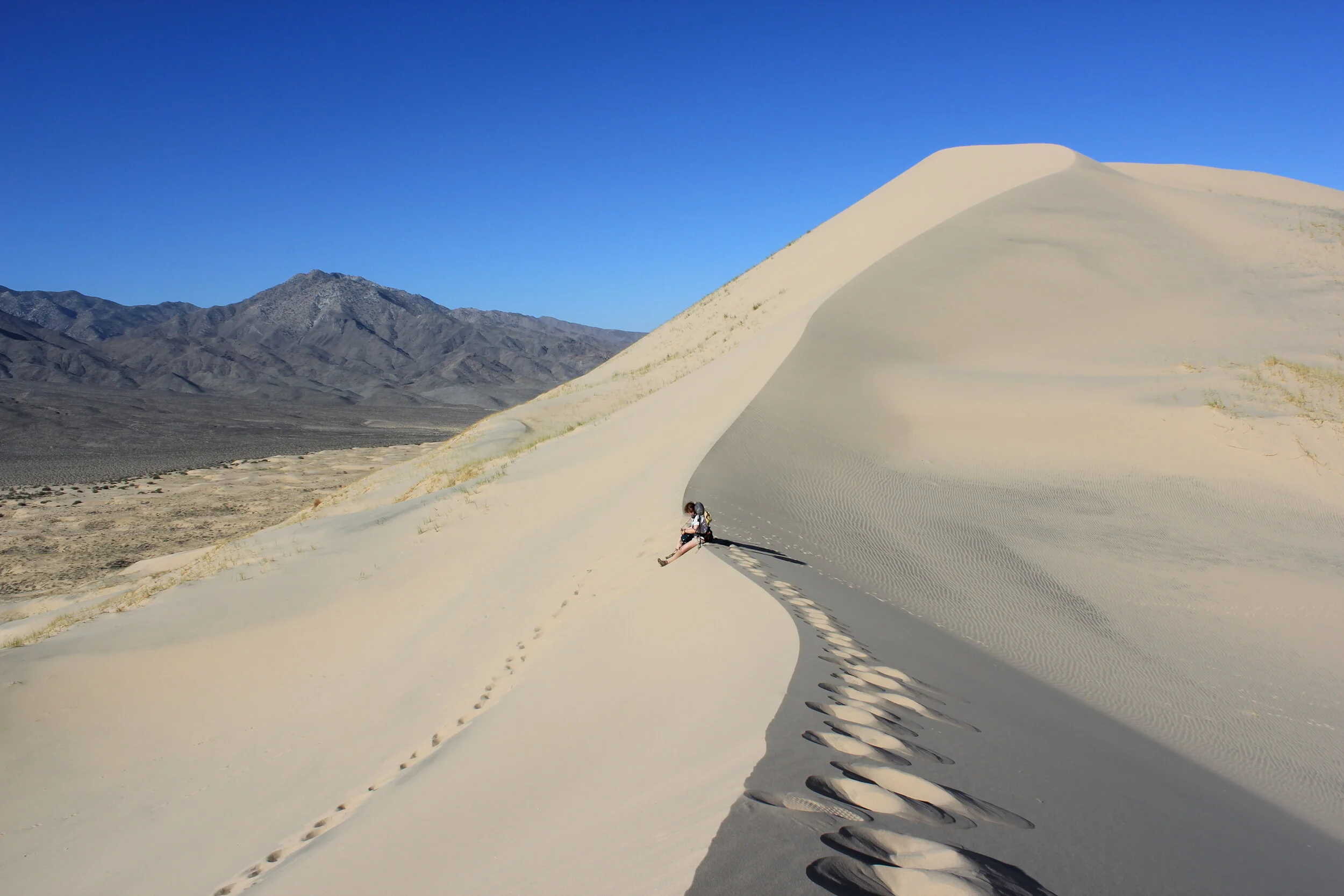 At the Kelso Dunes - getting ready to record the sound of ‘singing sands’ … using both a traditional stereo capsule mic and a hydrophone.