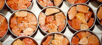 Canned Non-Smoked Salmon