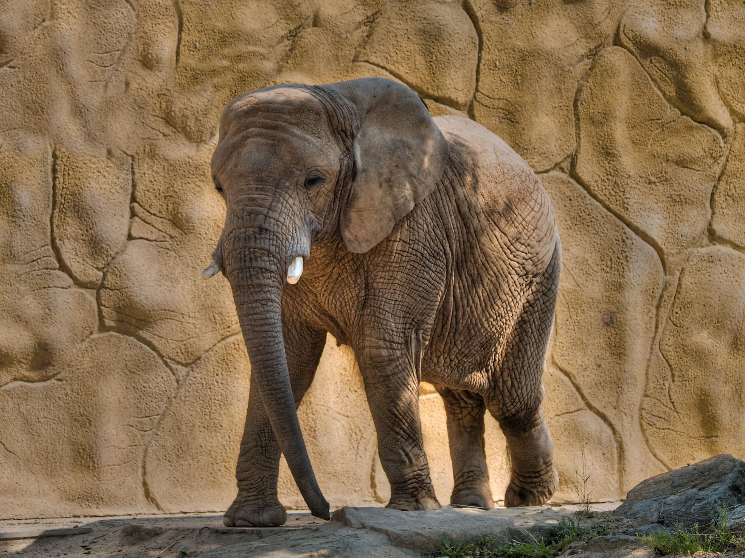 © Radkys | Dreamstime Stock Photos & Stock Free Images