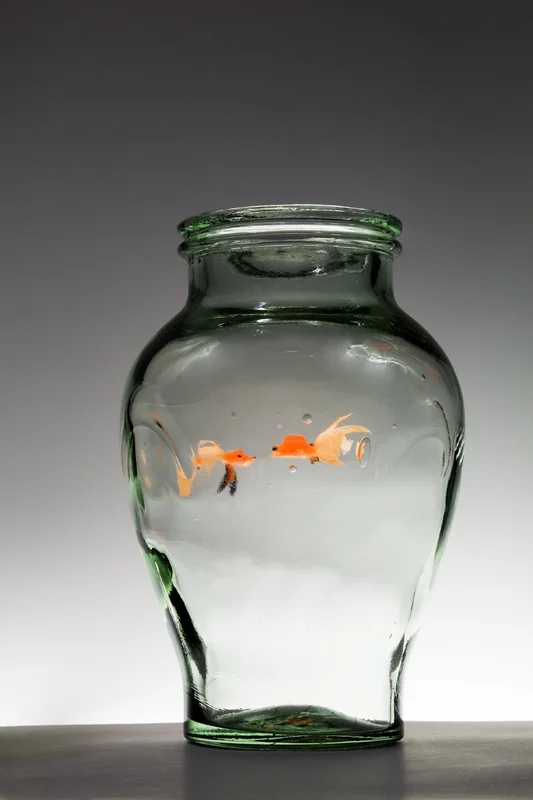 © Herdesign | Dreamstime Stock Photos & Stock Free Images