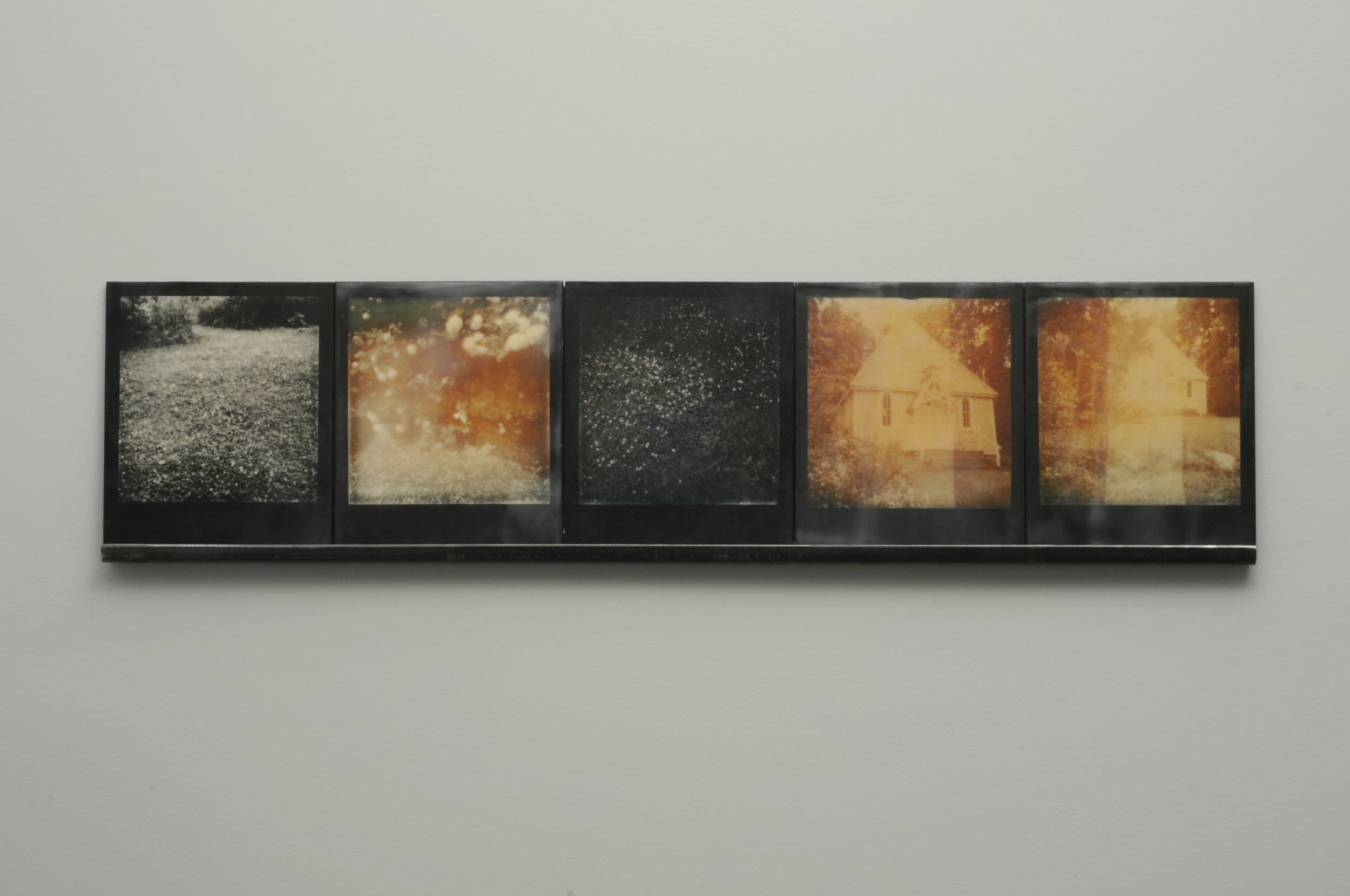    Clove  , 2015, pigment prints on cotton and panel with encaustic medium and steel shelf, 8.5" x 35.25"&nbsp;&nbsp;&nbsp;&nbsp; variable edition of 2 and 1 artist proof 