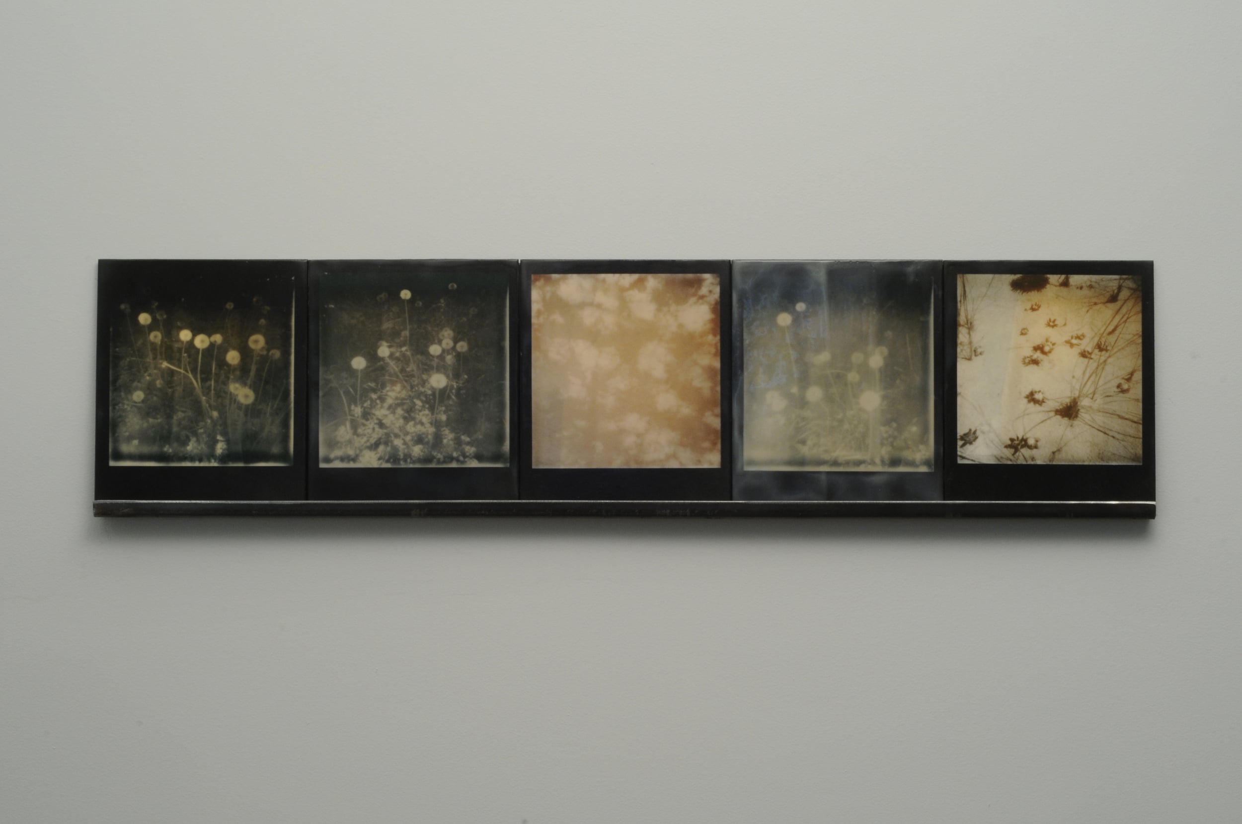    Starfall 1  , 2014-15, pigment prints on cotton and panel with encaustic medium and steel shelf, 8.5" x 35.25"&nbsp; &nbsp; variable edition of 2 and 1 artist proof 