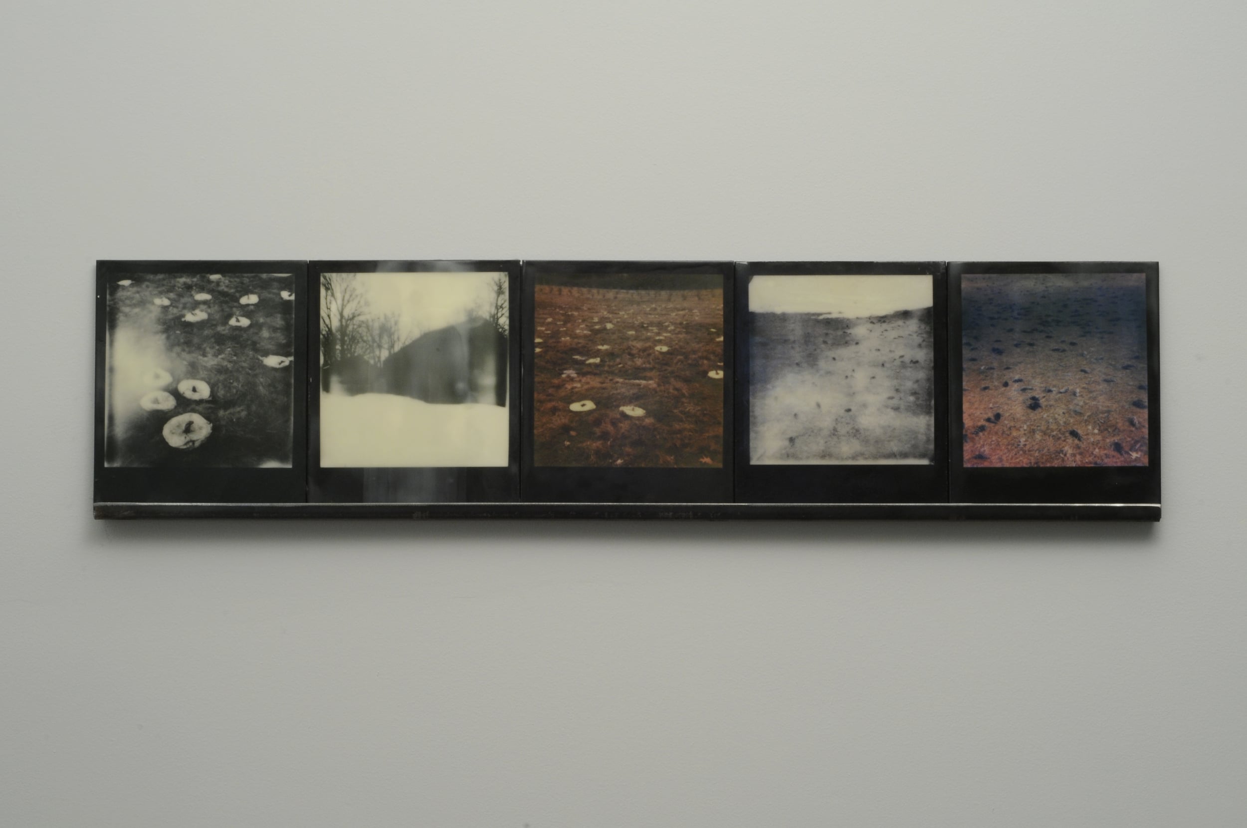    Winter Spill  , 2015, pigment prints on cotton and panel with encaustic medium and steel shelf, 8.5" x 35.25"&nbsp;&nbsp;&nbsp;&nbsp;&nbsp; variable edition of 2 and 1 artist proof 