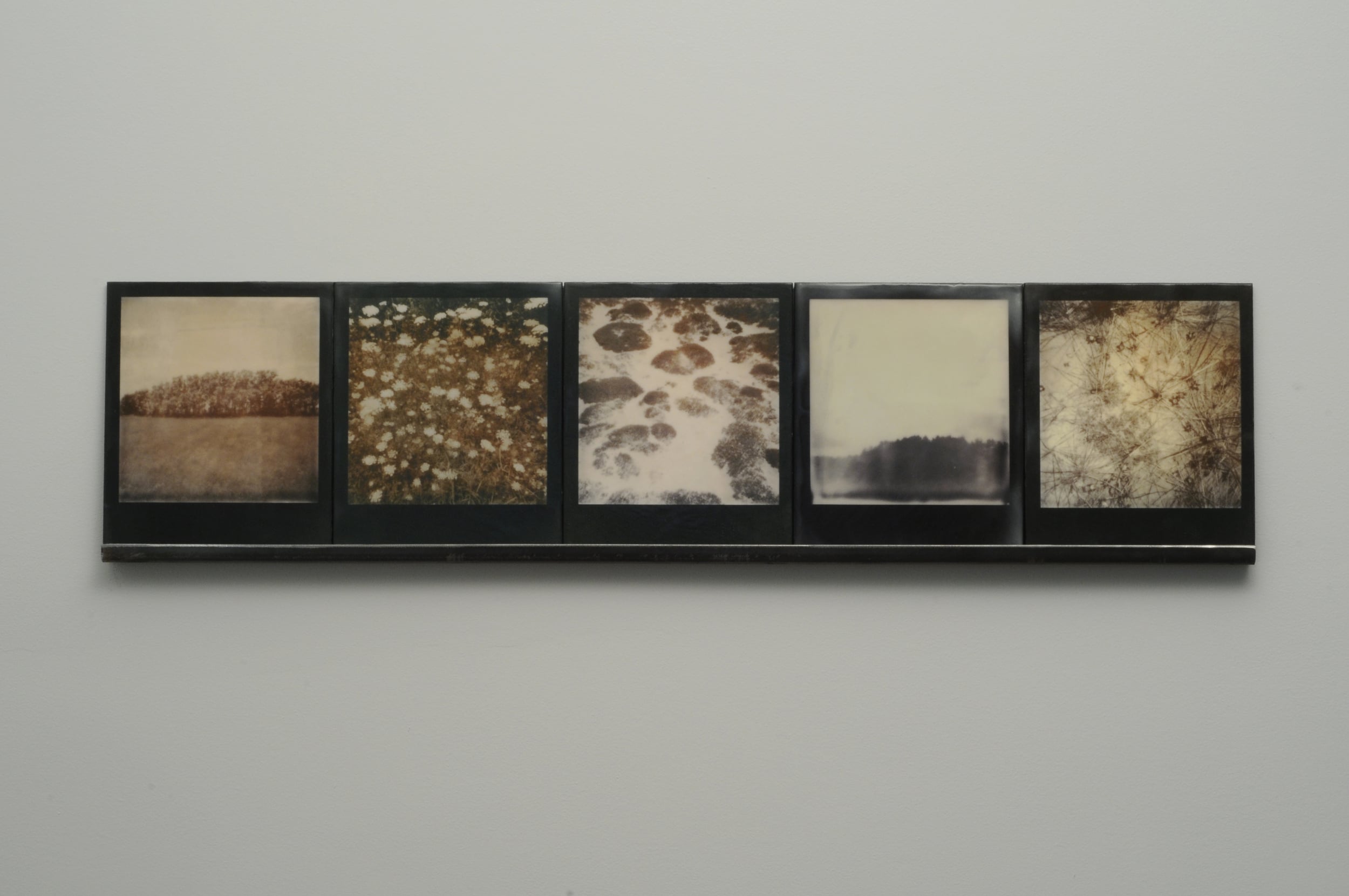    Starfall 2  , 2015, pigment prints on cotton and panel with encaustic medium and steel shelf, 8.5" x 35.25"&nbsp;&nbsp;&nbsp;&nbsp;&nbsp; variable edition of 2 and 1 artist proof 