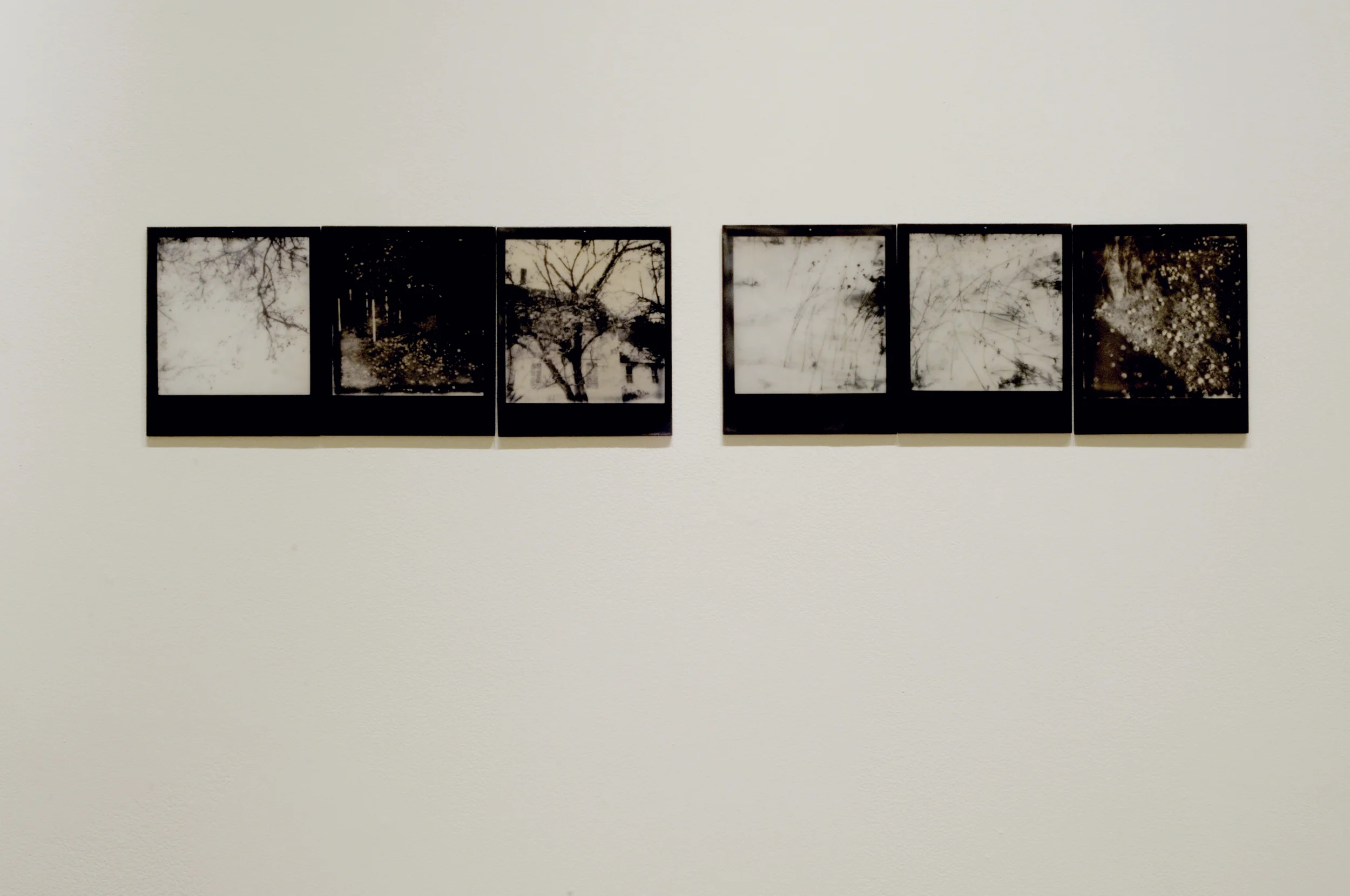 Reverse Migration , part 4 of 6, pigment prints on painted panel with encaustic medium, dimensions variable, 2014-15