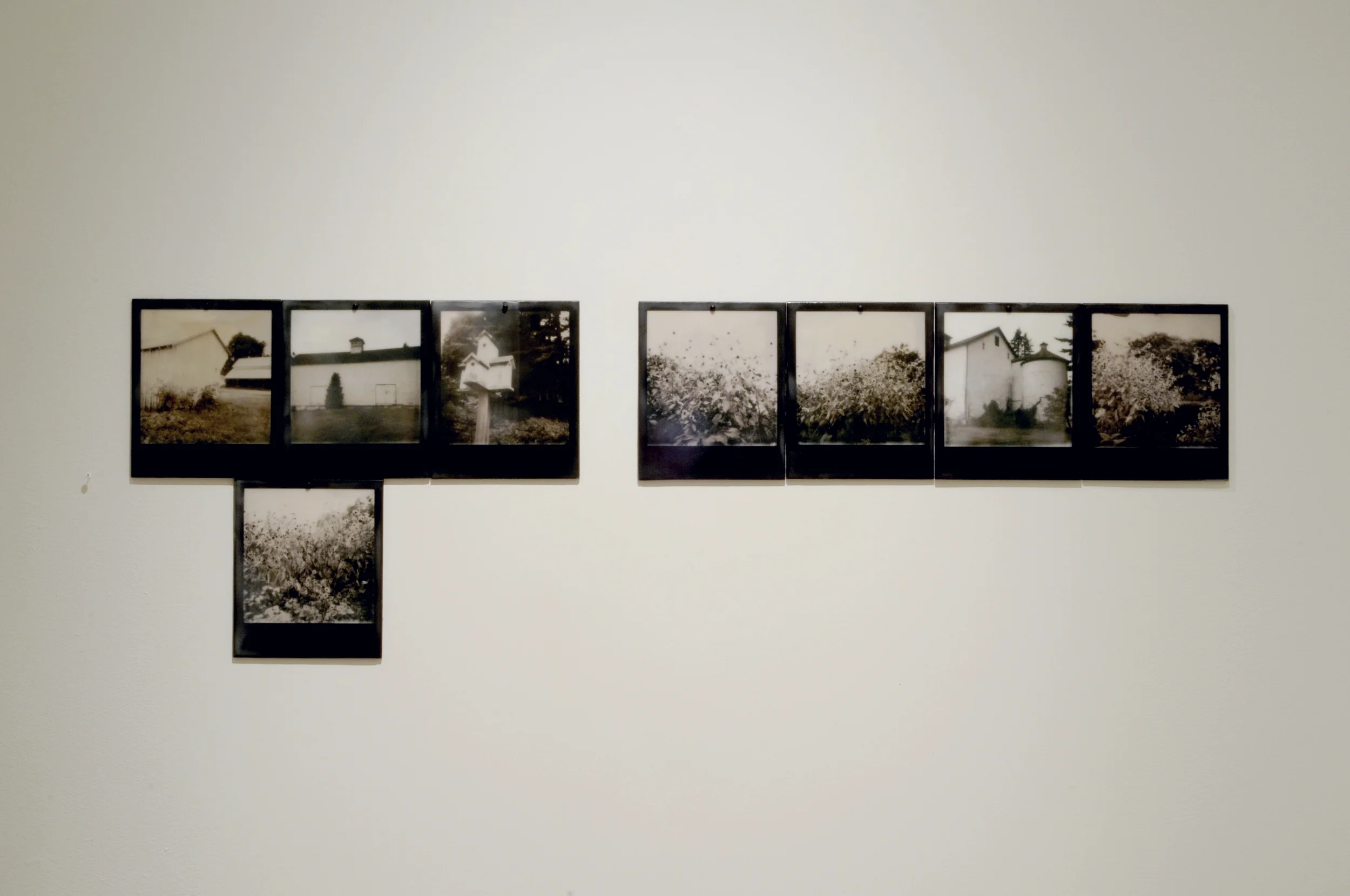 Reverse Migration , part 1 of 6, pigment prints on painted panel with encaustic medium, dimensions variable, 2014-15