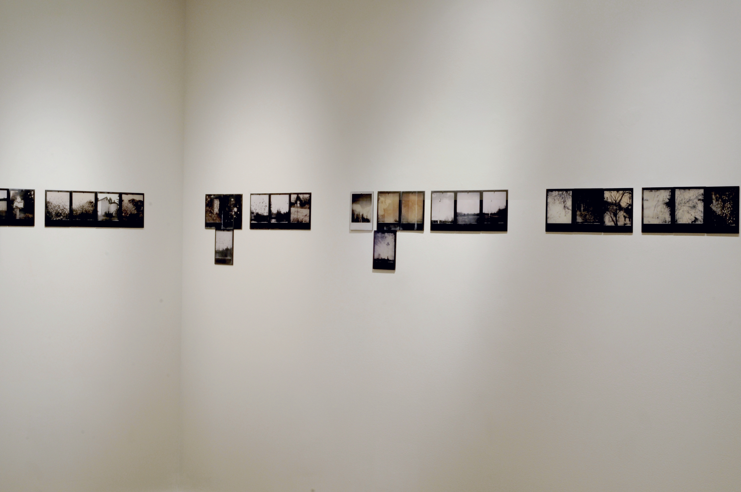    Reverse Migration  , installation view, part 1-4 of 6, pigment prints on painted panel with encaustic medium, dimensions variable, 2014-15 