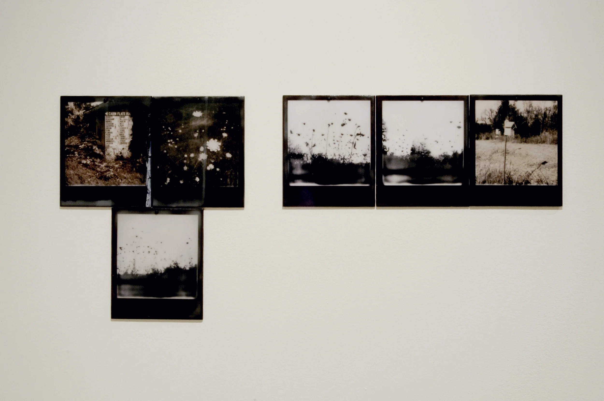 Reverse Migration , part 2 of 6, pigment prints on painted panel with encaustic medium, dimensions variable, 2014-15