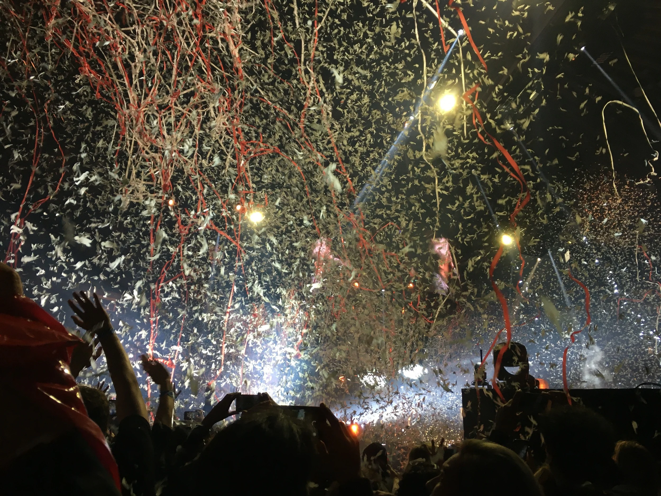 Moving with the Lamb