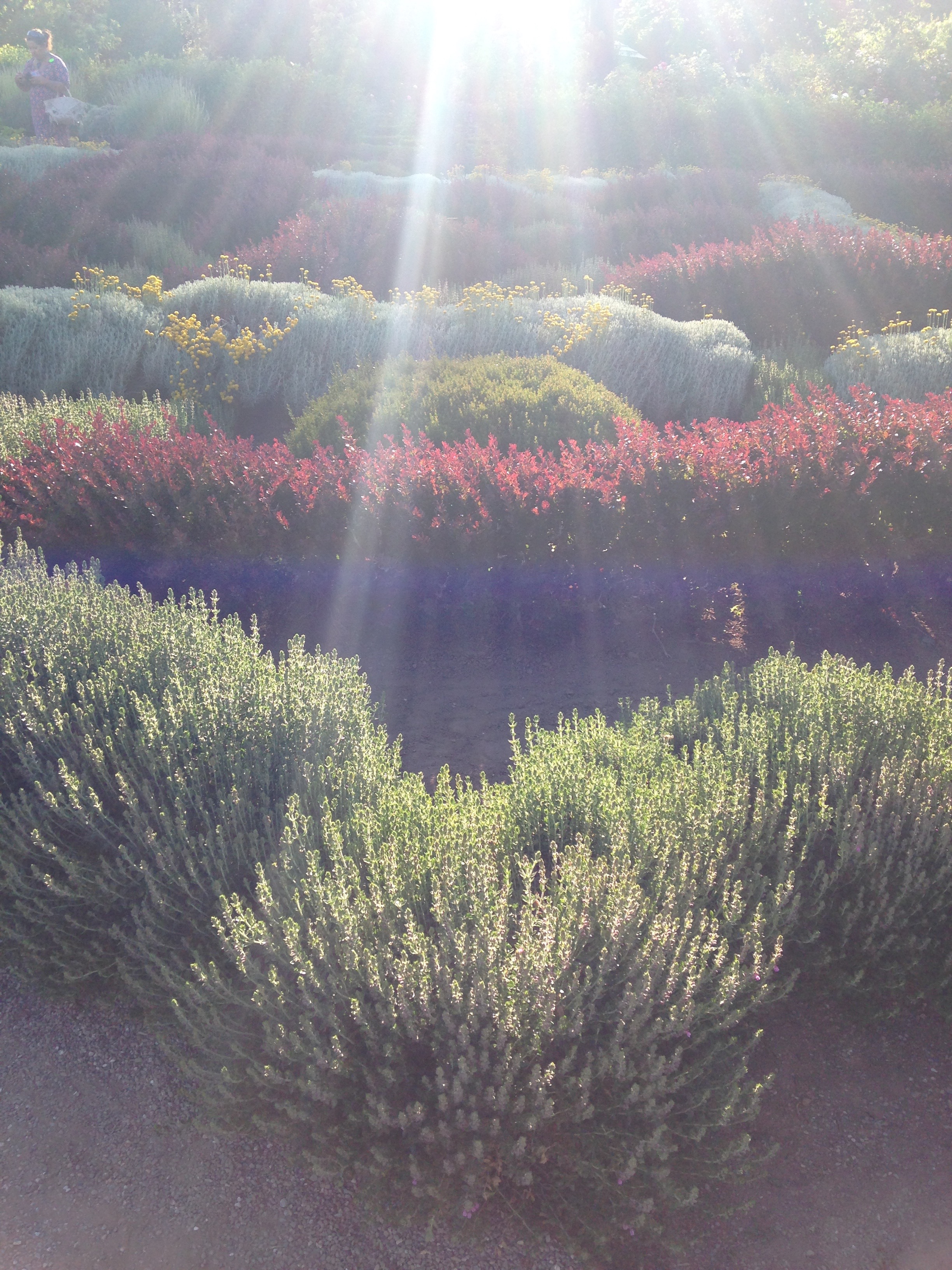 Experiencing Goodness