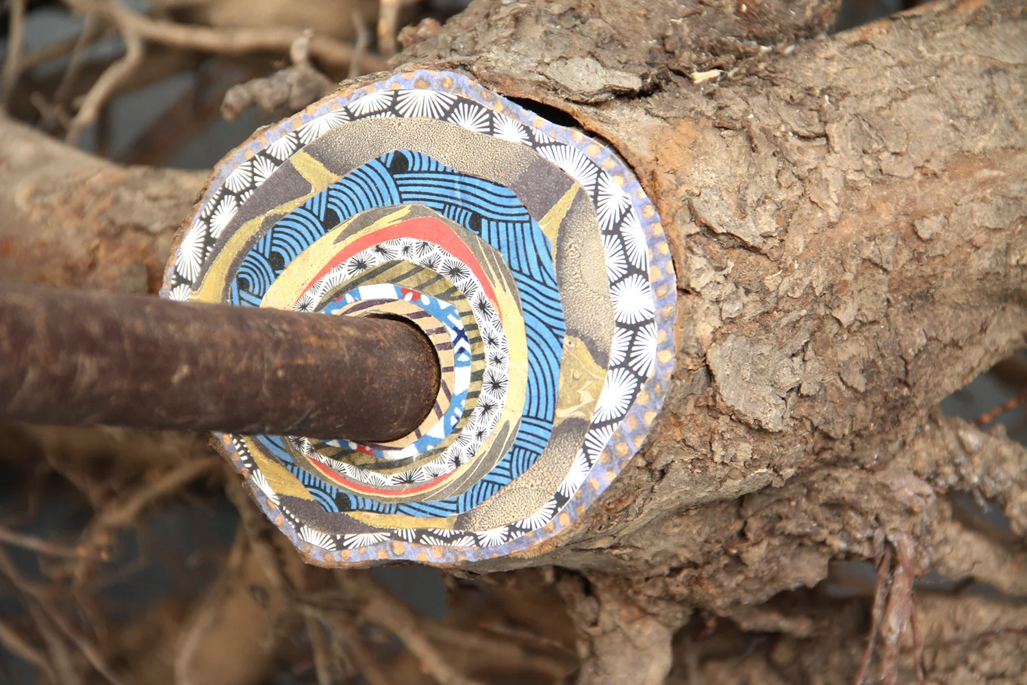 Lorna+Williams-root+question-2011-mixed+media-44.5x43x22-detail-1(2).jpg