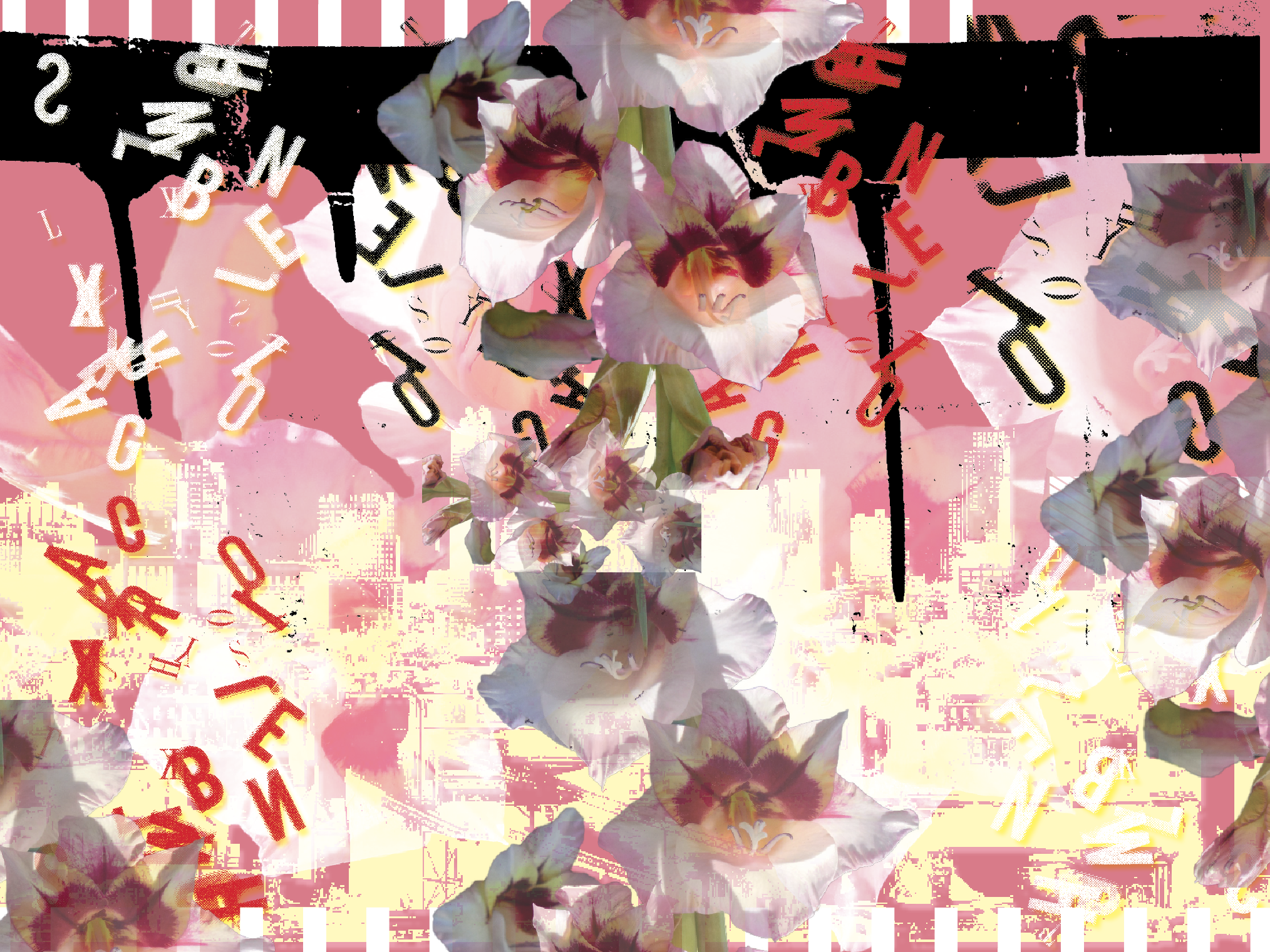 Screen Shot 2019-01-08 at 7.24.09 PM.png