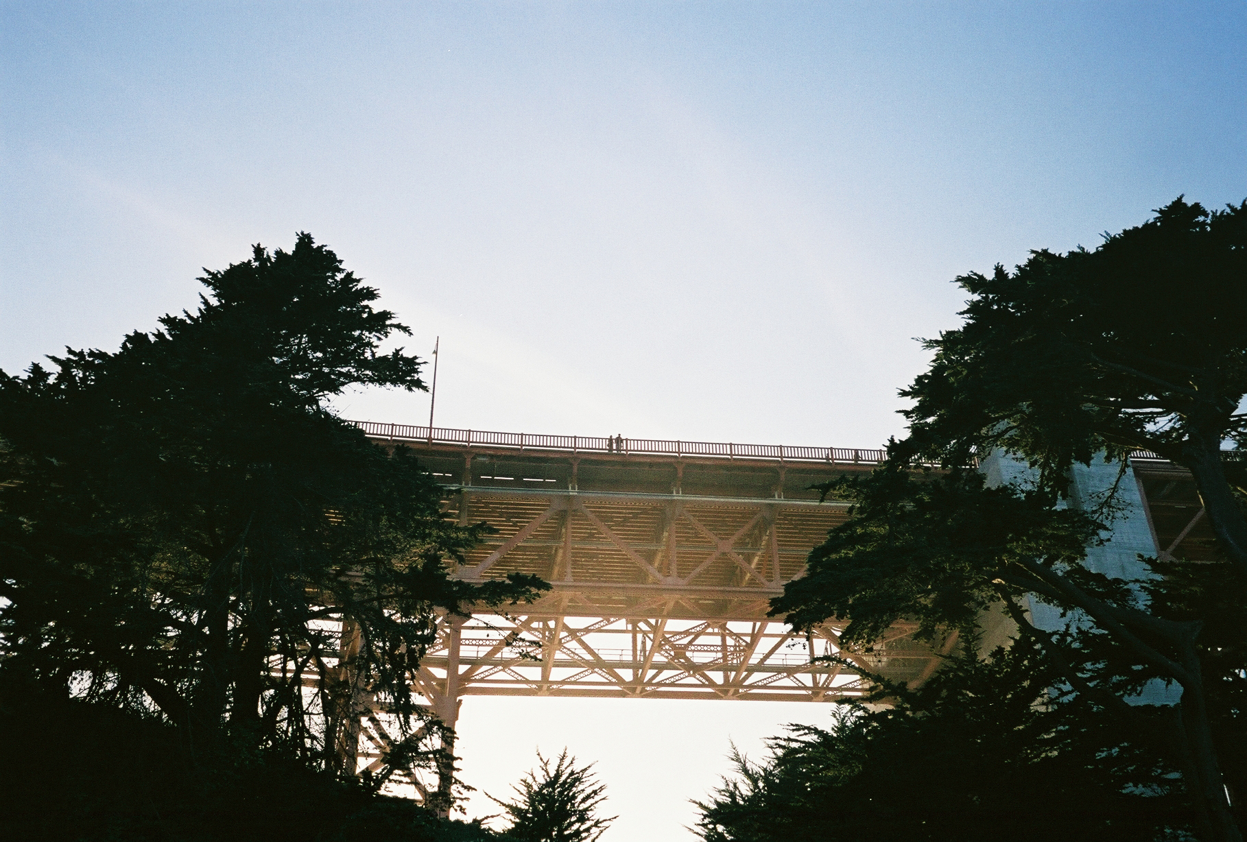 A167252_009A.jpg