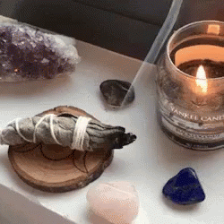 An Introduction to Basic Herbalism