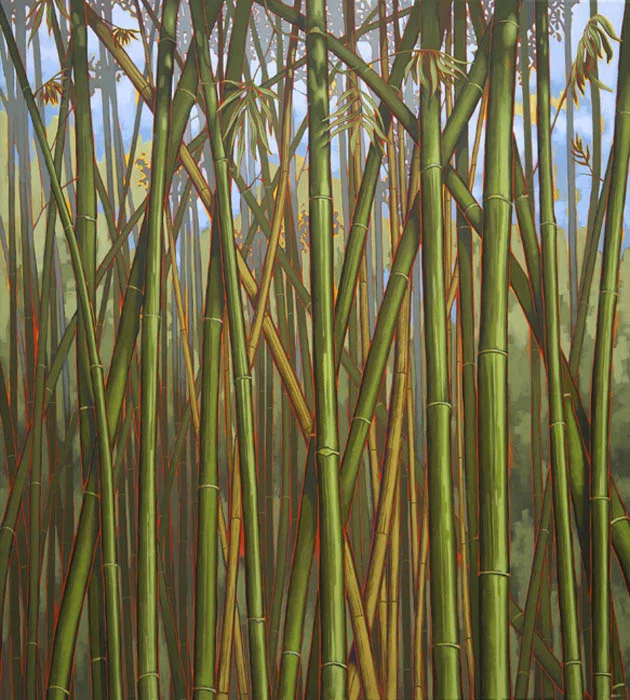 Bamboocenter.jpg