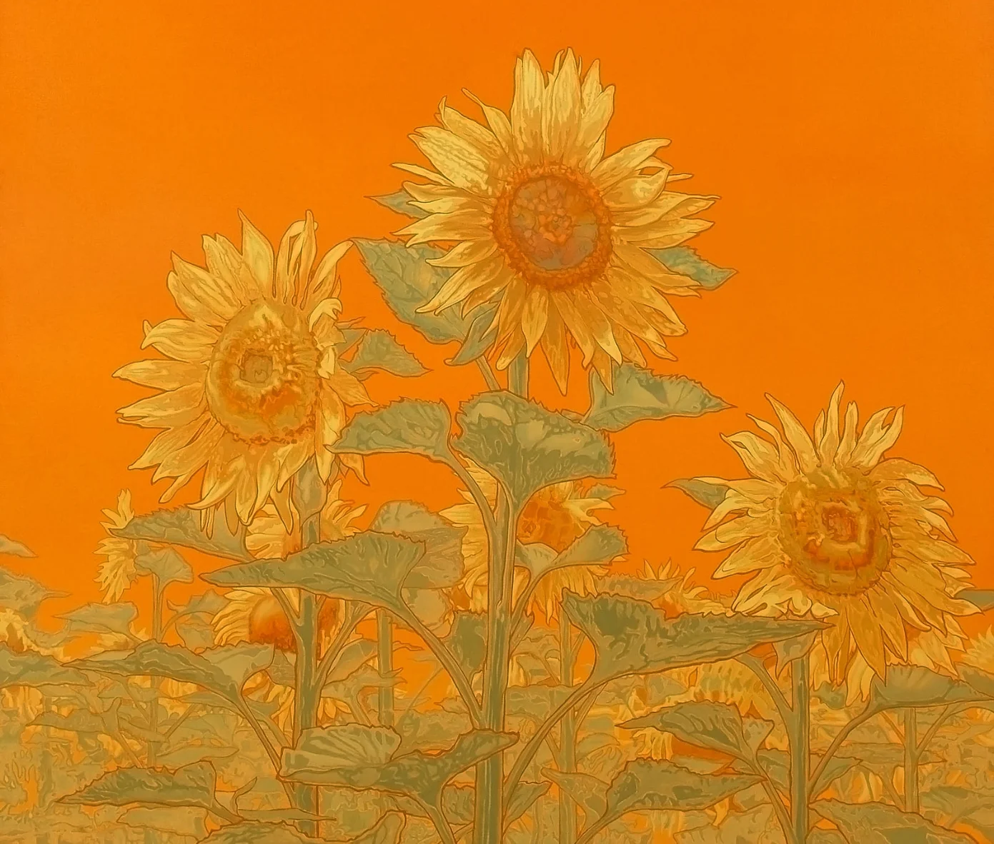 sunflower-field-2high-res.jpg