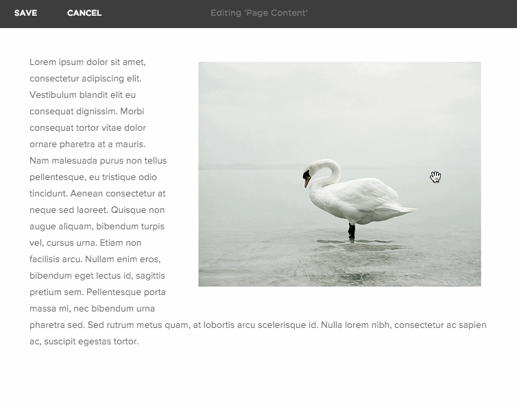 Photo source: Squarespace