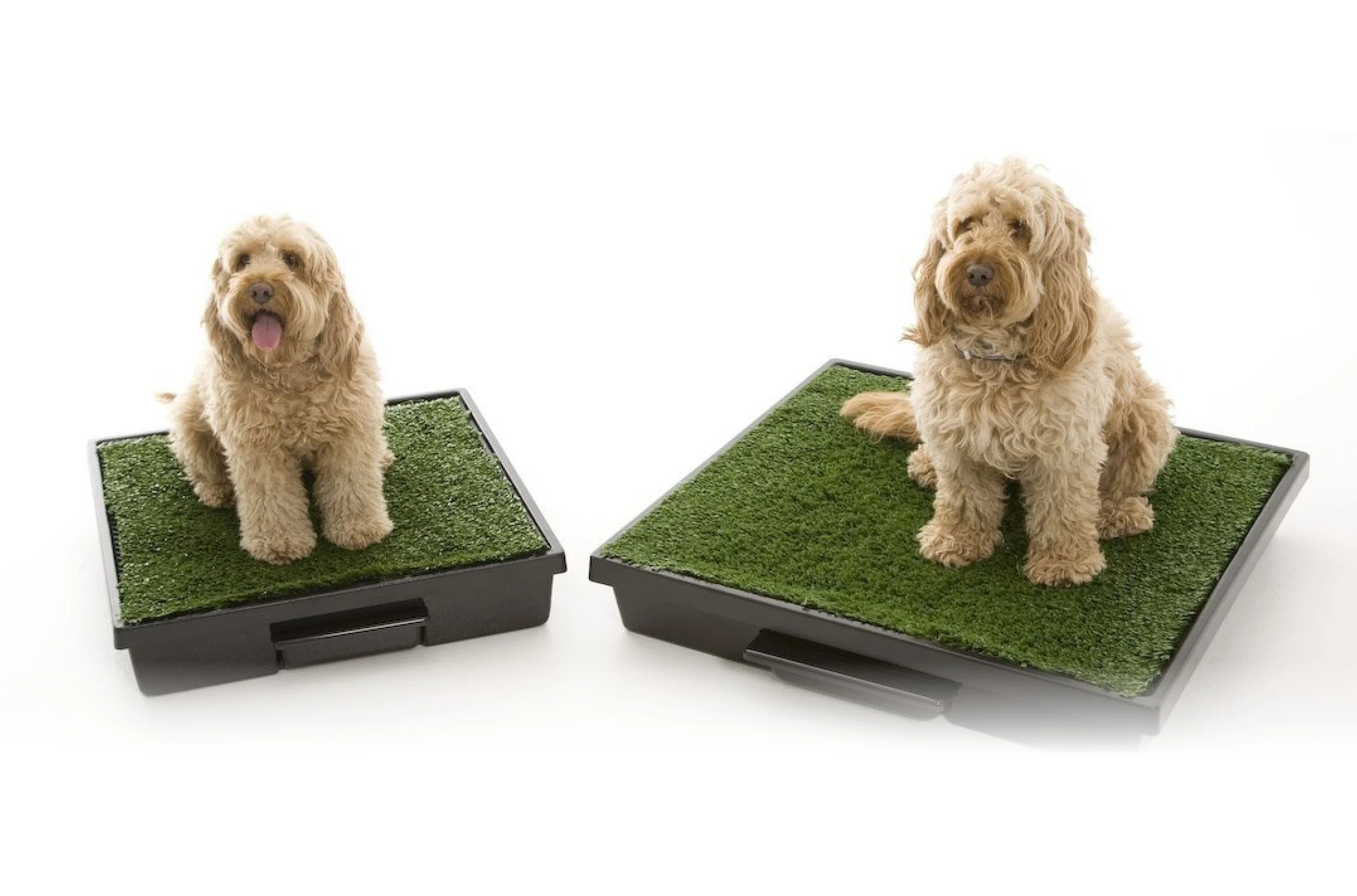 Turf-Tiles-Pet25.jpg