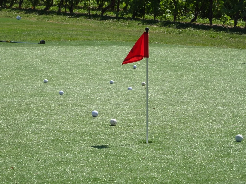 thumb_DSC00795_1024.jpg