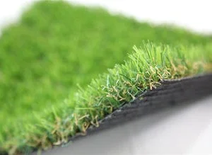 ECOGRASS-300x219.jpg