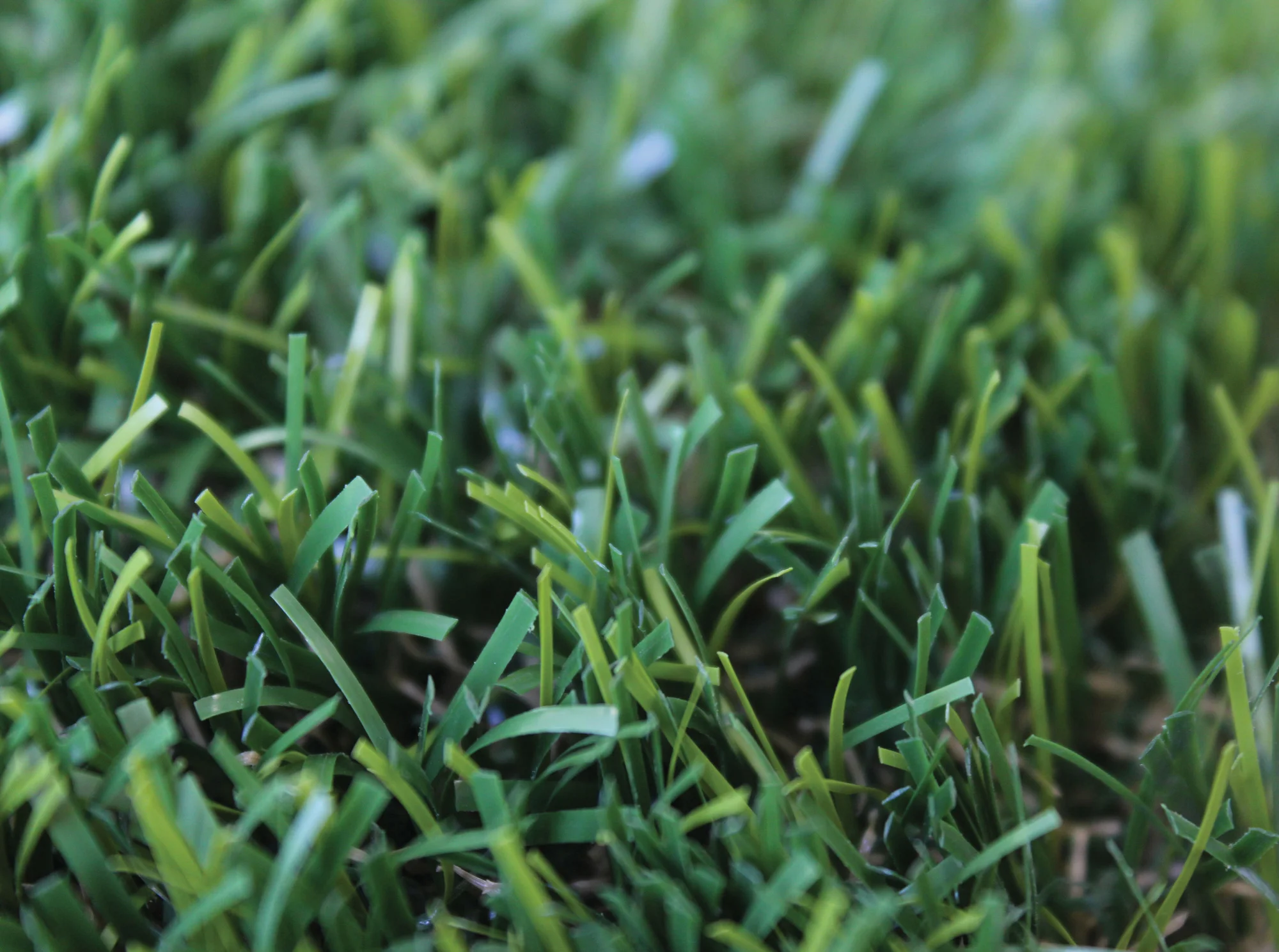 Rymar Synthetic Artificial Grass