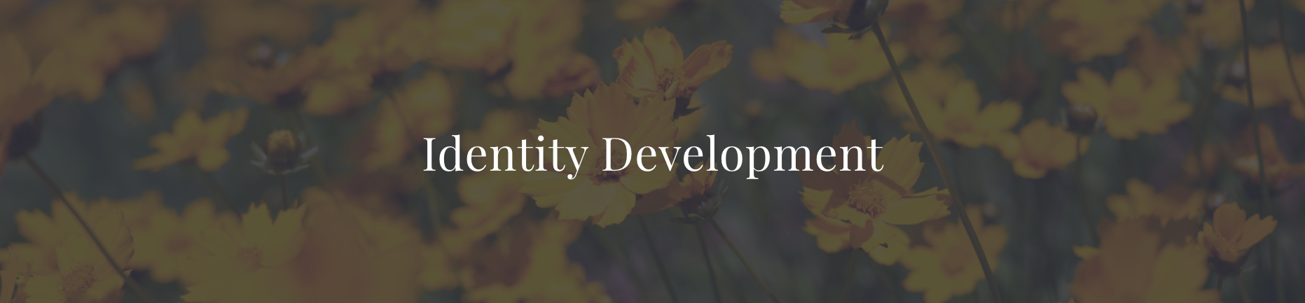 identity development.png