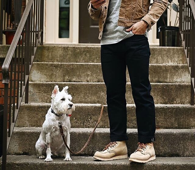 Seeing @thread.and.steel's photos with his dog made me want to post one with mine!

#herschelchung

Jacket: @ironheartdenim ihj-68
Shirt: @3sixteen heavyweight grey tee
Jeans: @3sixteen CT-121
Boots: @redwingheritage 8173's