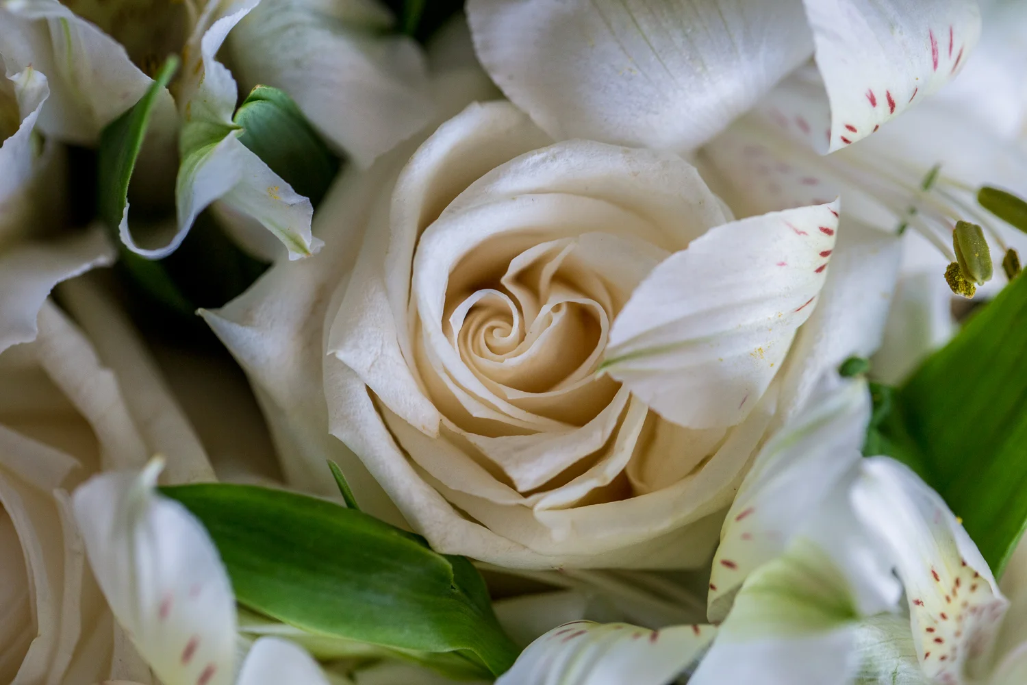 Grand Palladium Resort & Spas, Montego Bay - Destination Wedding - Derrel Ho-Shing Photography