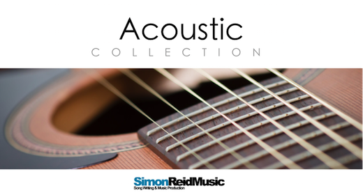 SRM_Acoustic.png