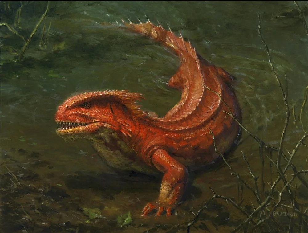 Crimson Muckwader