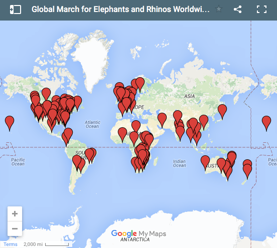 over 140 cities MARCHED in 2015 / 2016