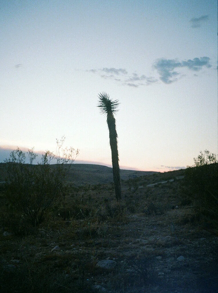 000090700031 copy 2.jpg