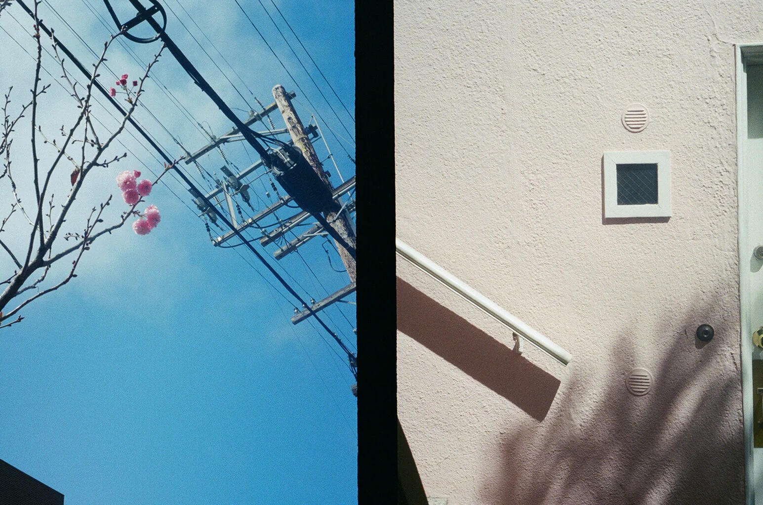 000090690010.jpg