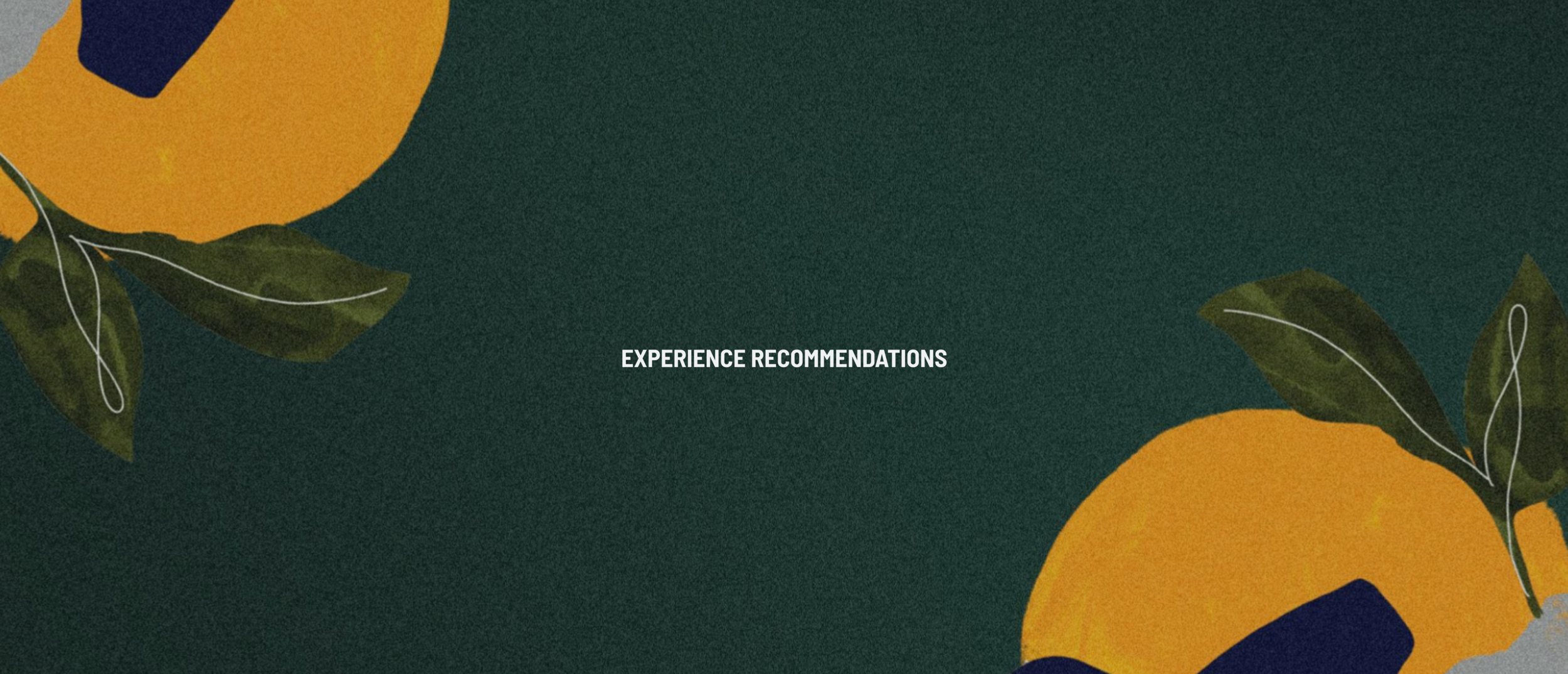 Experience.png