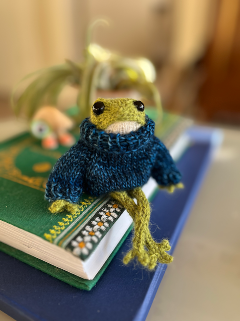 A small knitted frog in a blue sweater sits on a stack of books