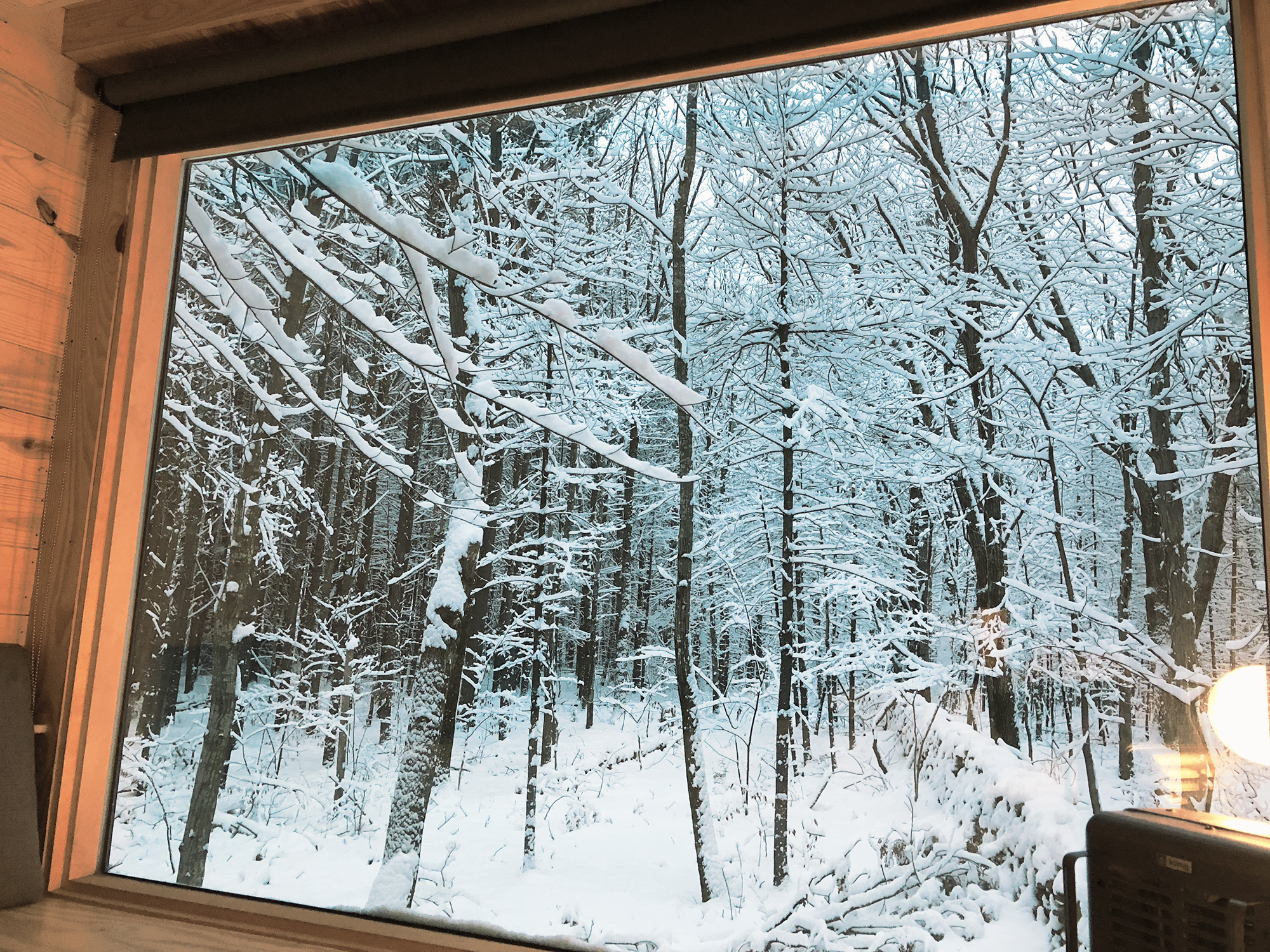 Window.png