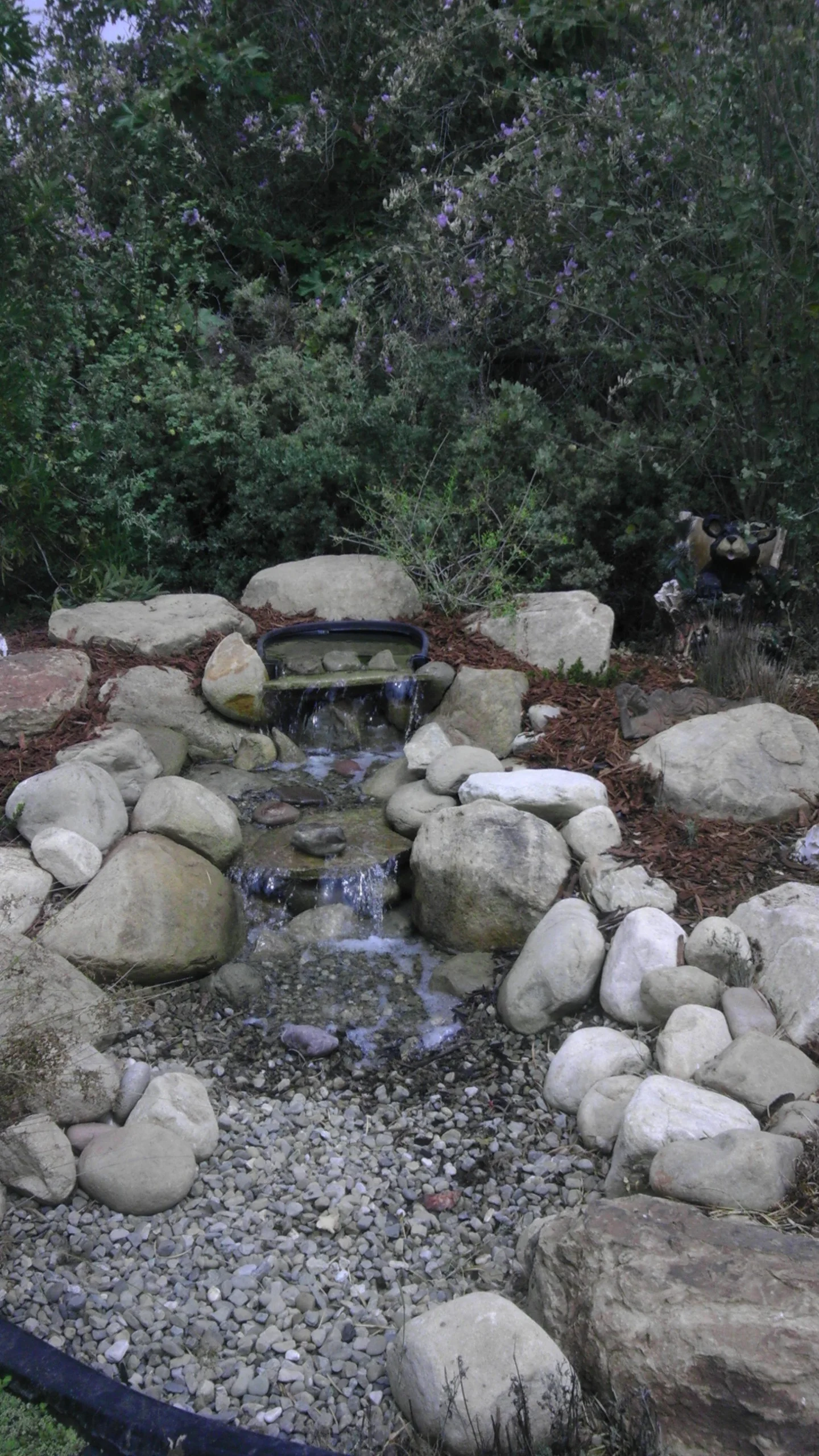 from phone 641.jpg