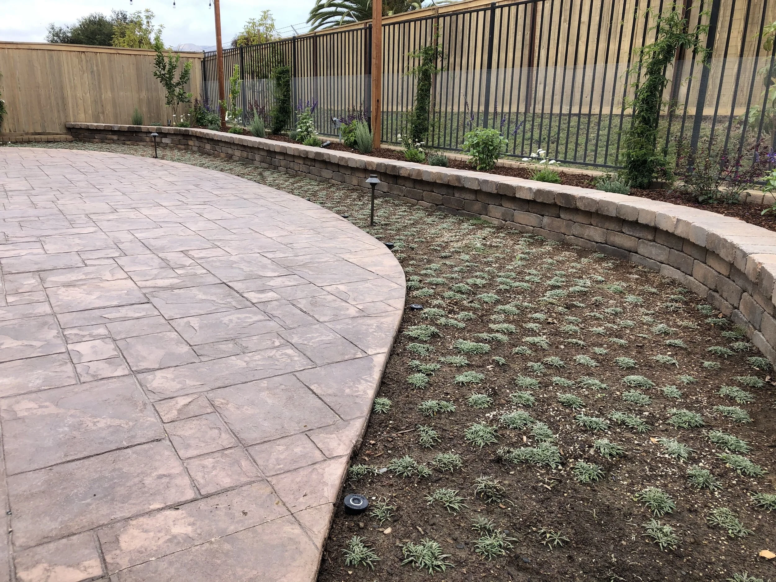 channel islands landscape and design ventura landscaping company (7).jpg