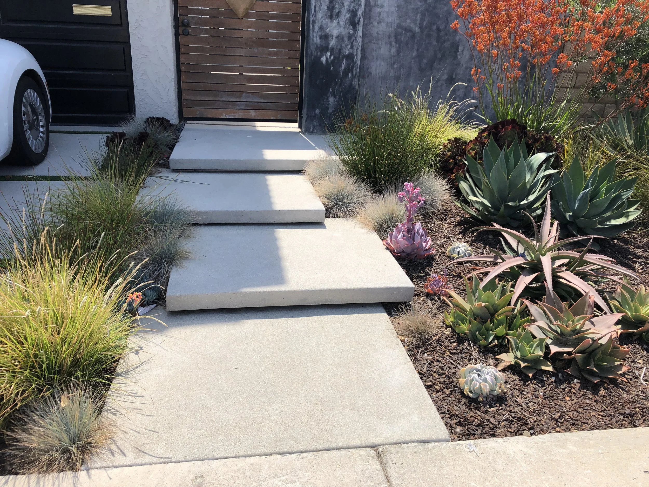 channel islands landscape and design ventura landscaping company (10).jpg