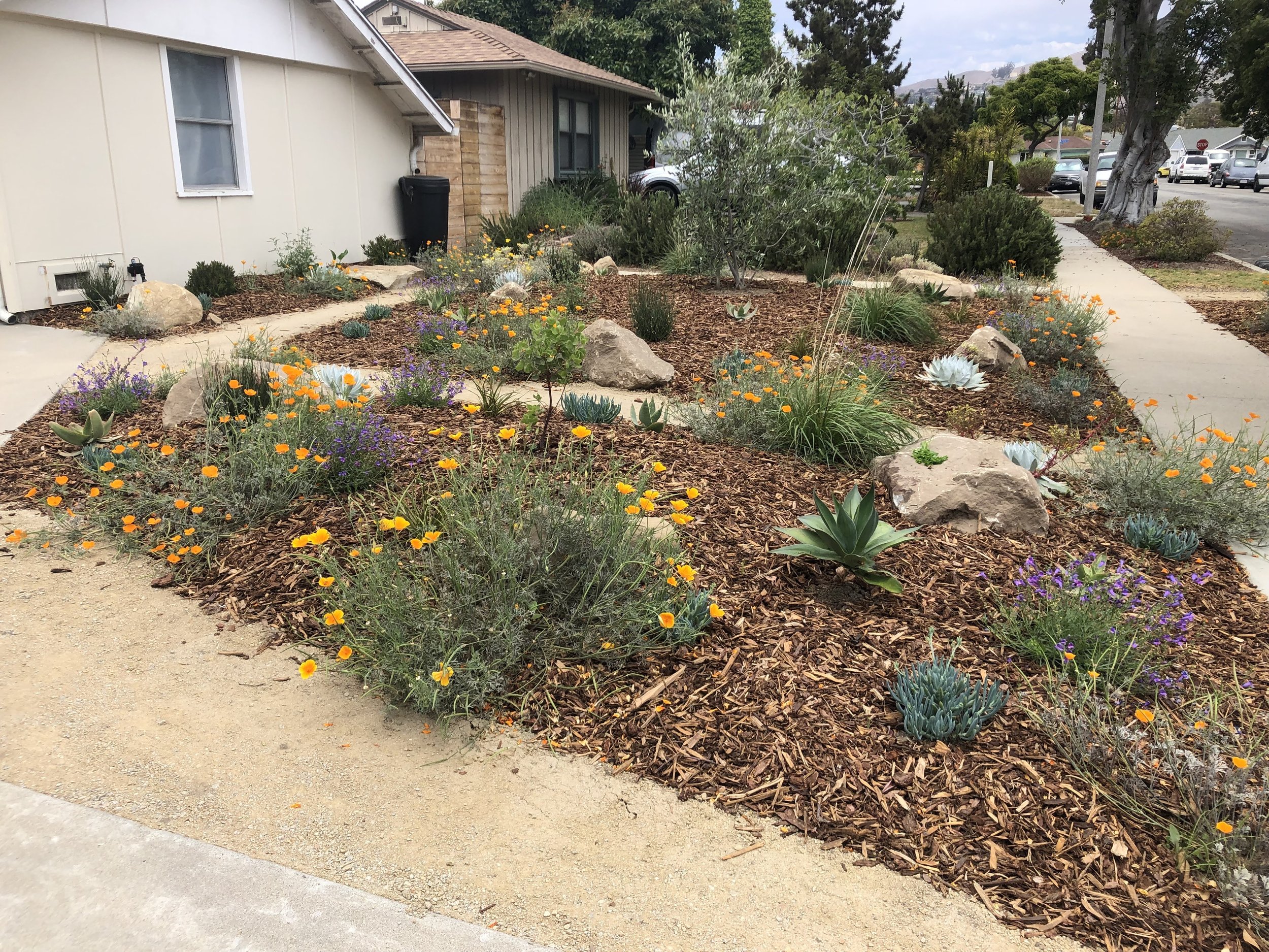 channel islands landscape and design ventura landscaping company (11).jpg