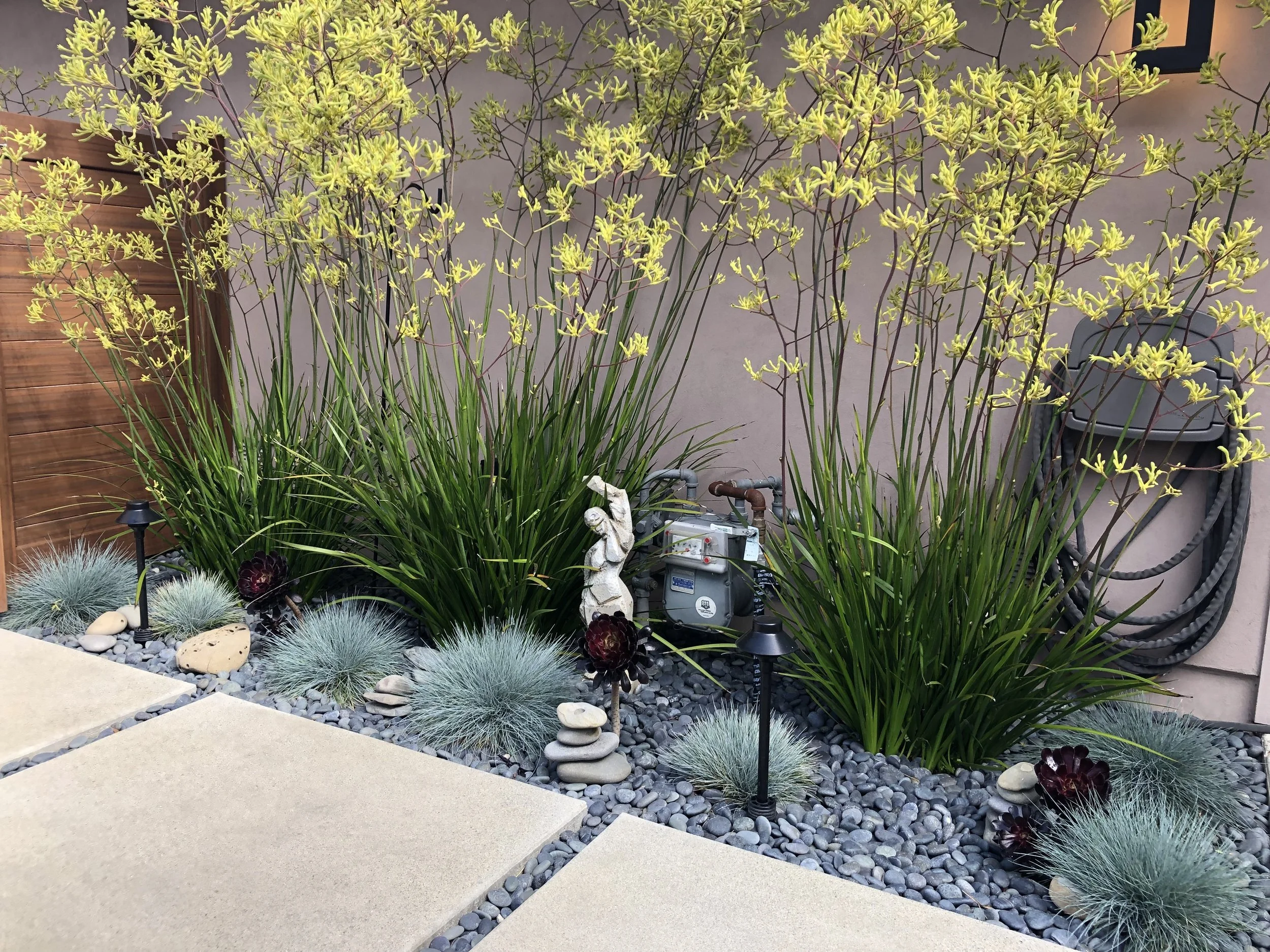 channel islands landscape and design ventura landscaping company (6).jpg
