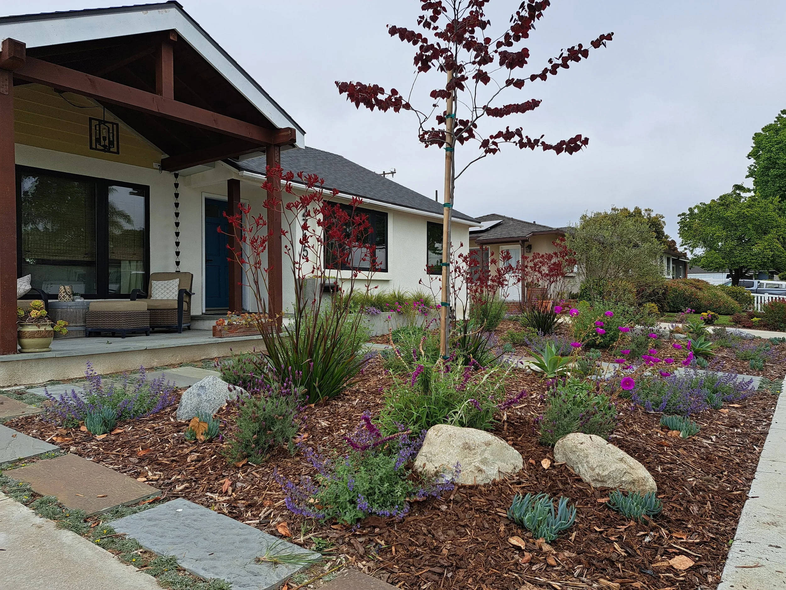 channel islands landscape and design ventura landscaping company (3).jpg