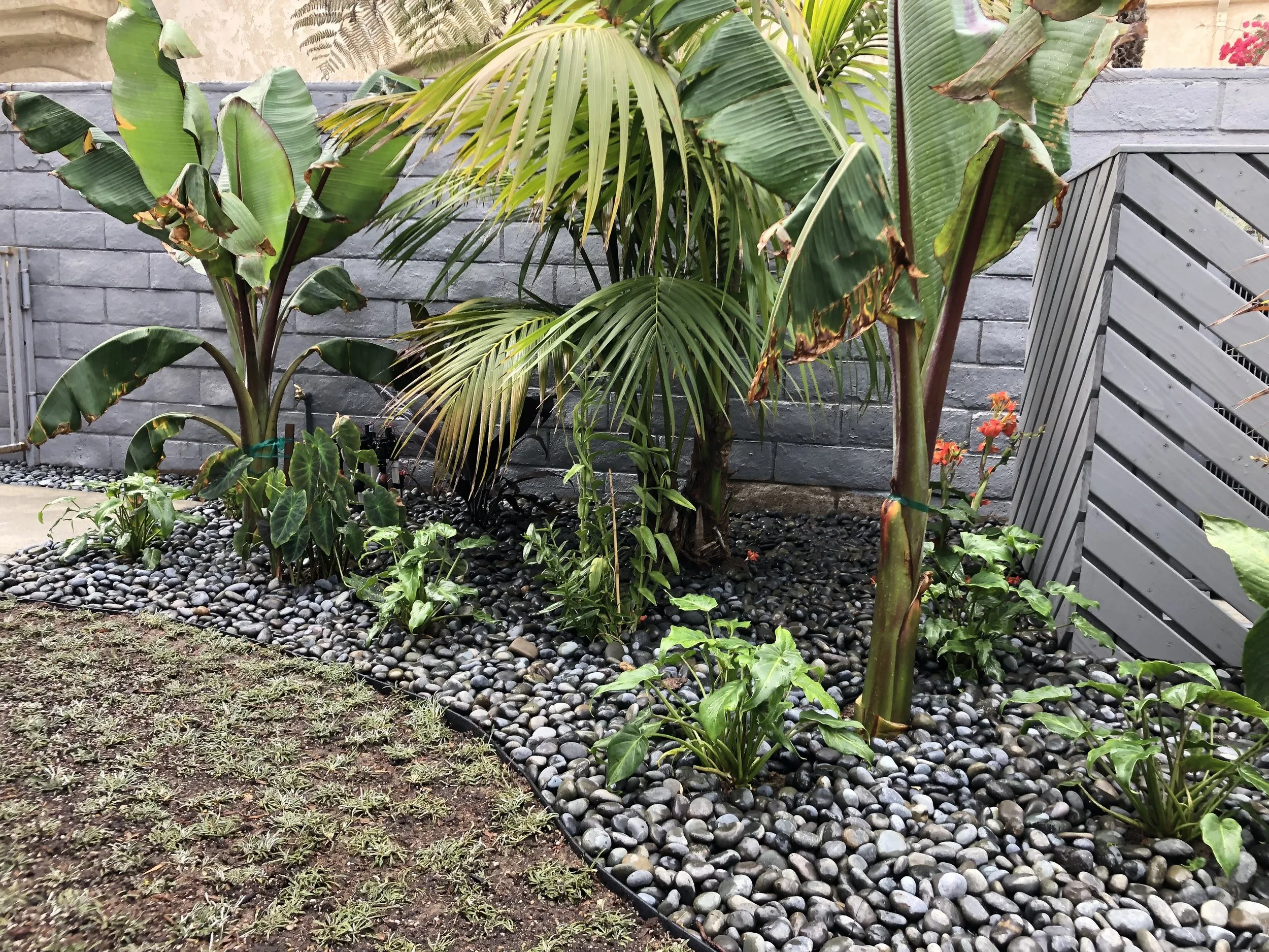 channel islands landscape and design ventura landscaping company (12).jpg