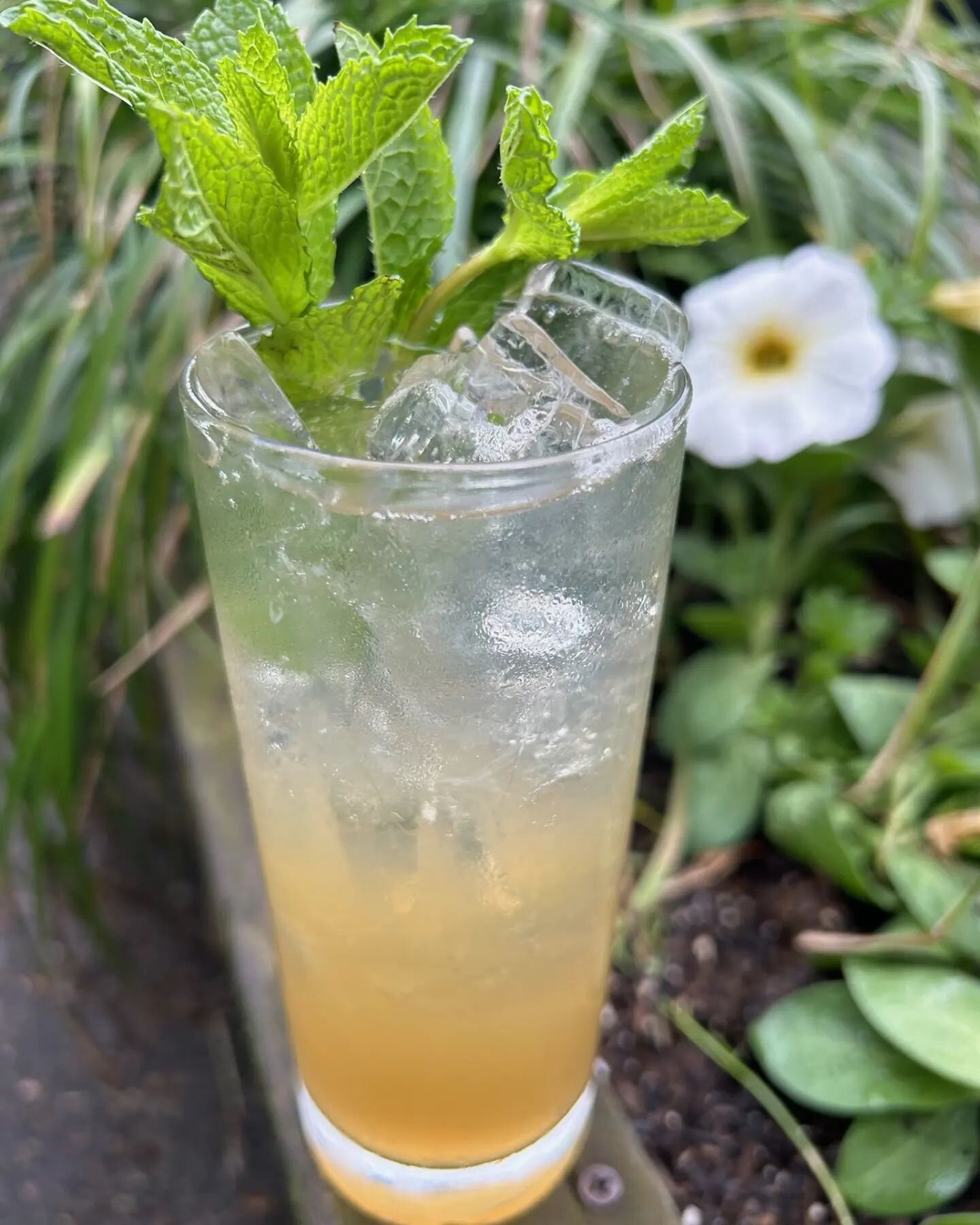 It's #kentuckyderby weekend and @efunke333 is slinging her cocktail Win, Place, Show!

-Mint-infused Bourbon, Mint Syrup, Lime, Xocolatl Mole Bitters and Soda Water

Get in before it's gone!

#pubdrinksarethebestdrinks #drink me #kentuckyderbytime #j