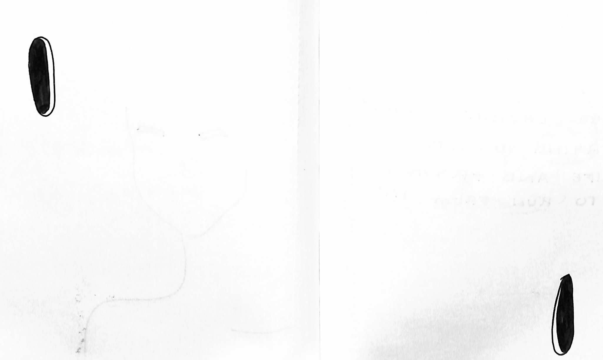 Journal Scans_Page_13.png