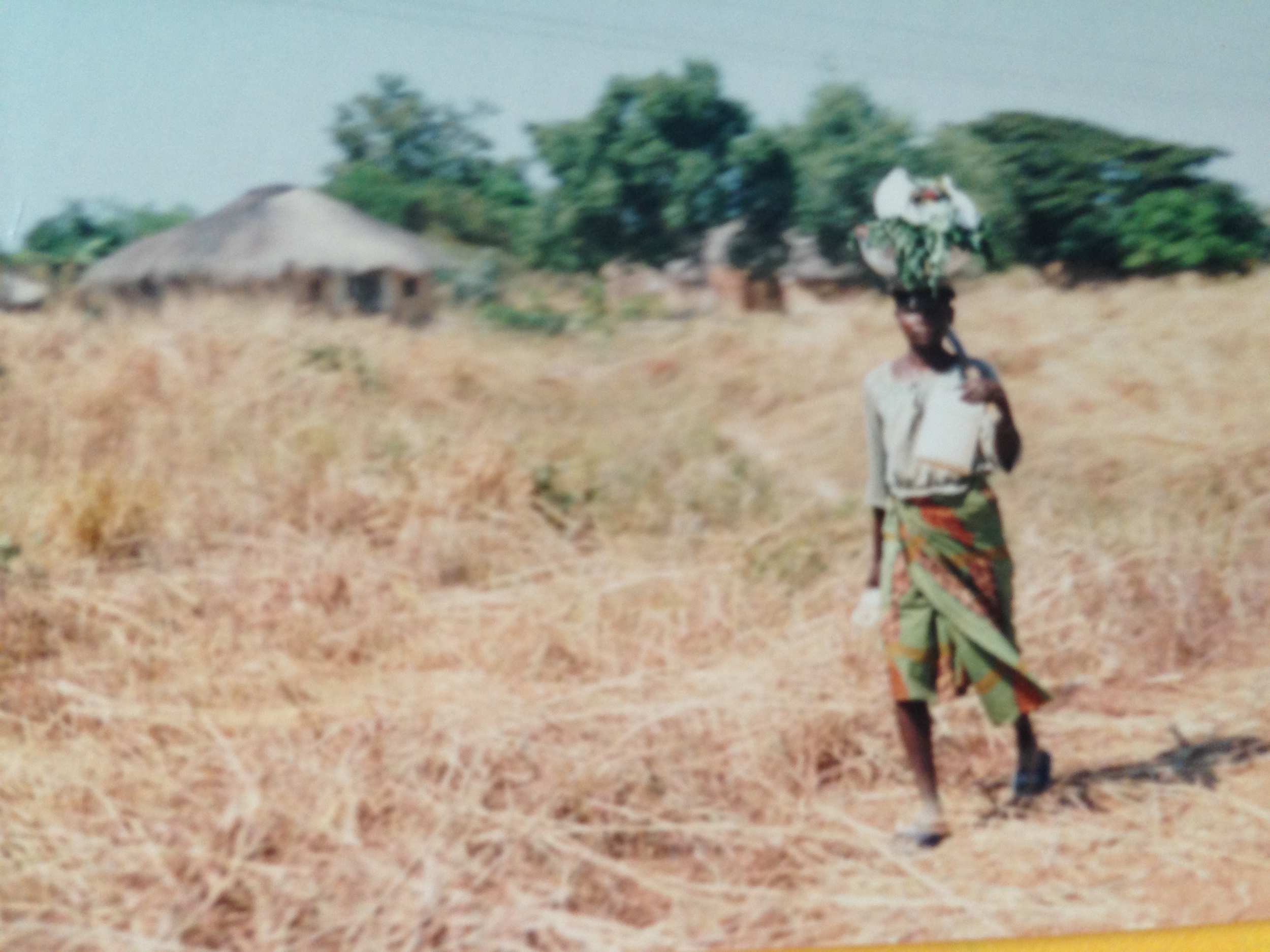 Food and water delivery