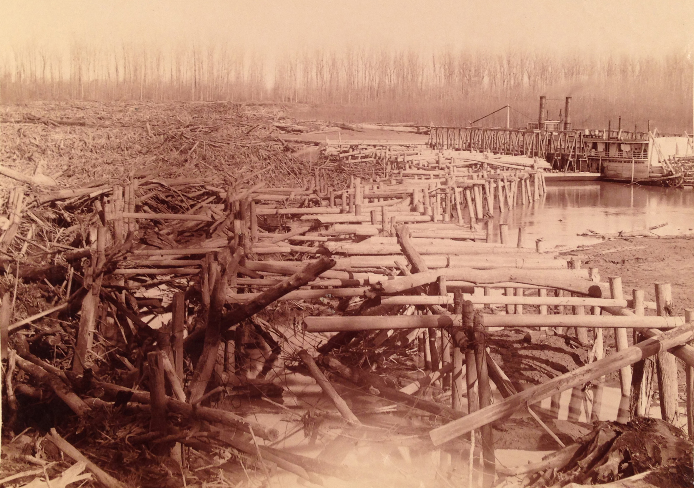 1880s photograph of cottonwood snag-catchers built by the Corps of Engineers on the Mississippi River near Plum Point to catch debris drifting downstream. (Photographs and Prints Division, National Archives and Records Administration, College Park, Maryland)